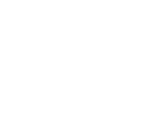 Bit Links Tech Logo Gif